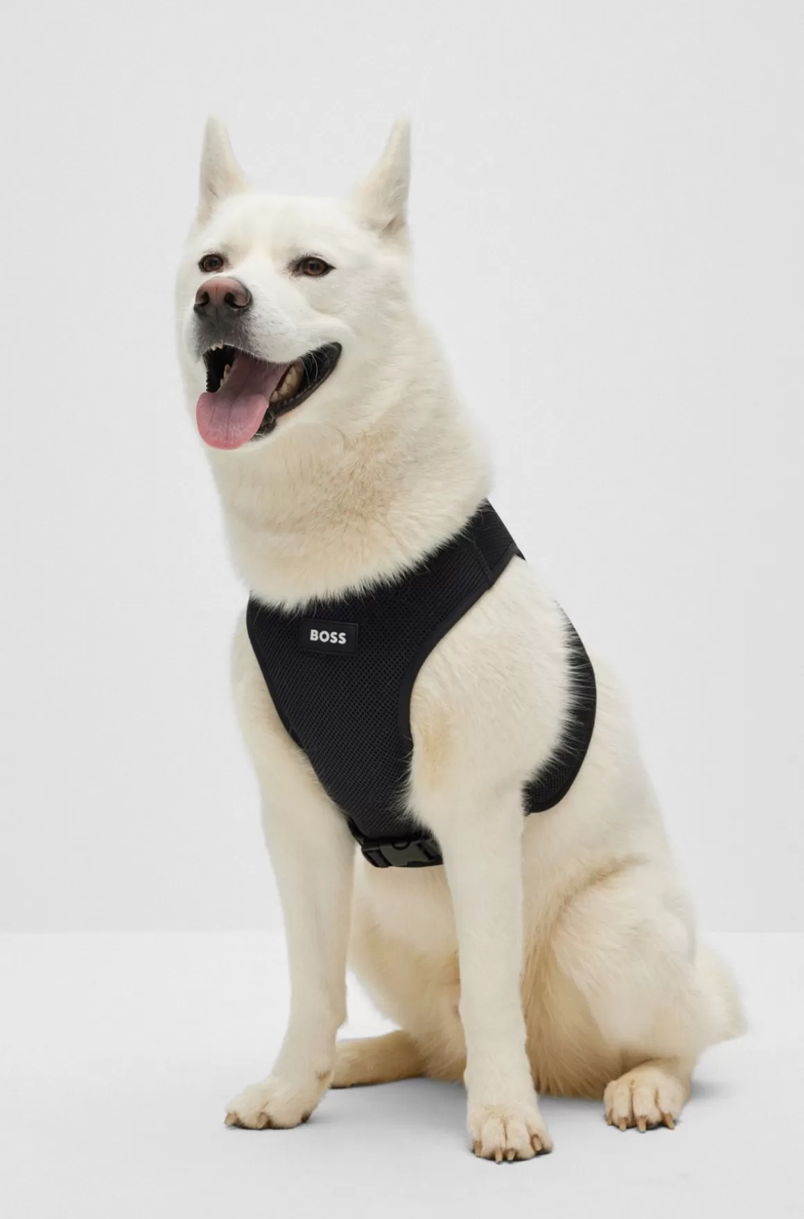 HUGO BOSS Justerbar Hundesele Med Signaturstribe